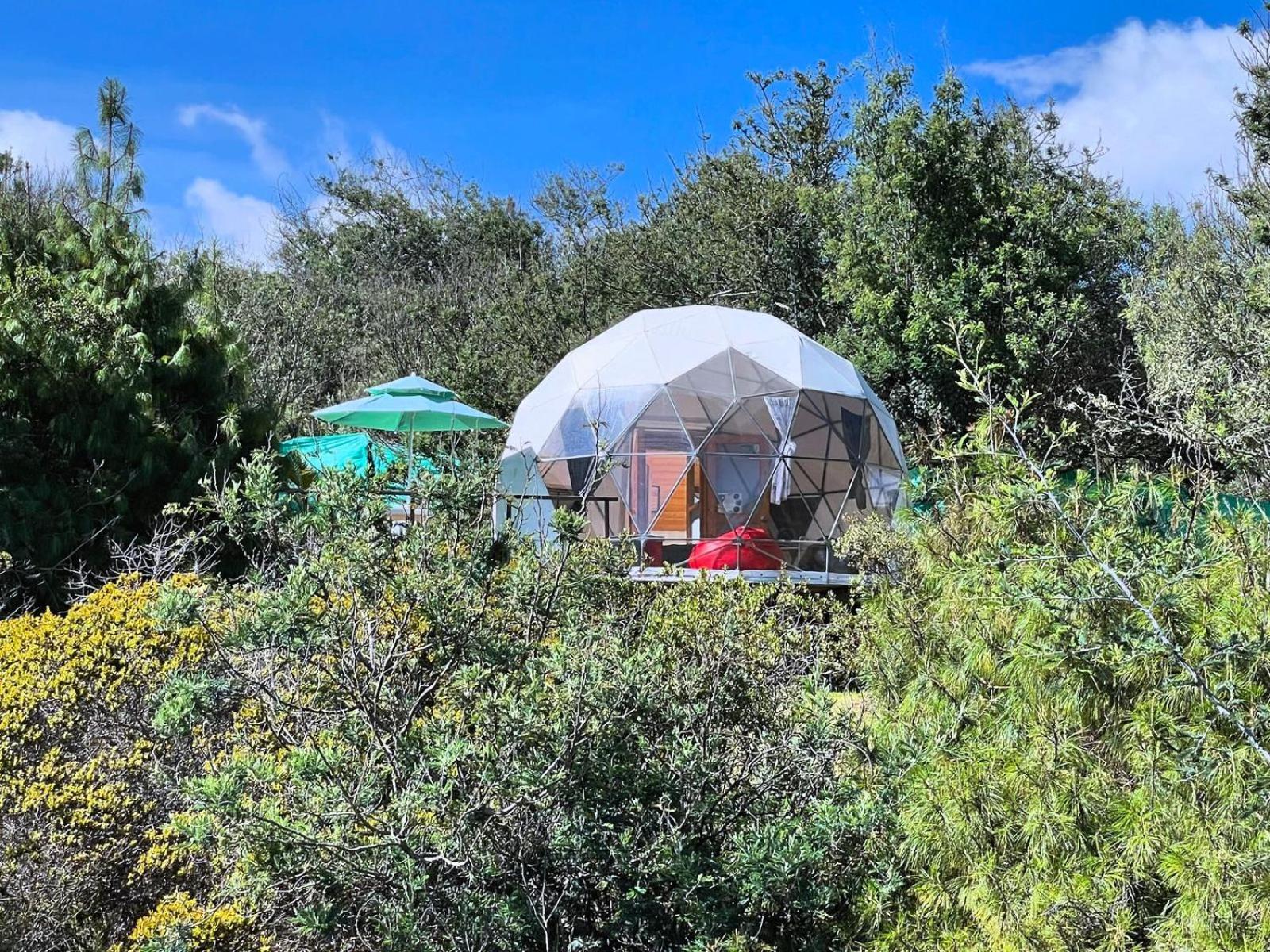 El Alpino Cabana Glamping & Camping Hotel Guatavita Bagian luar foto